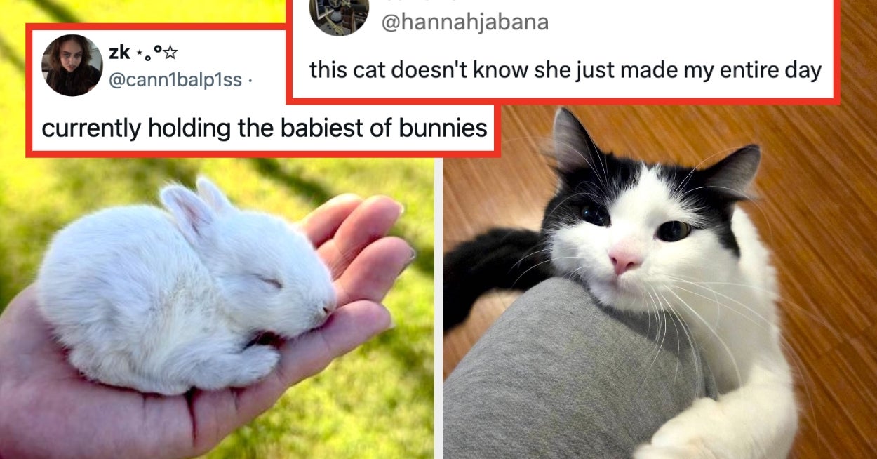 This Week Has Been Hell, So Here Are 21 Wholesome Posts From The Internet To Help Bolster Your Spirits