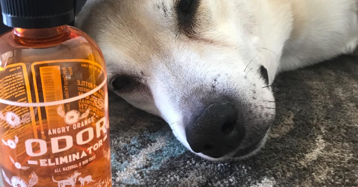 33 Products So Consistently Good At Their Jobs That People Might Fall Apart If They Stopped Getting Made