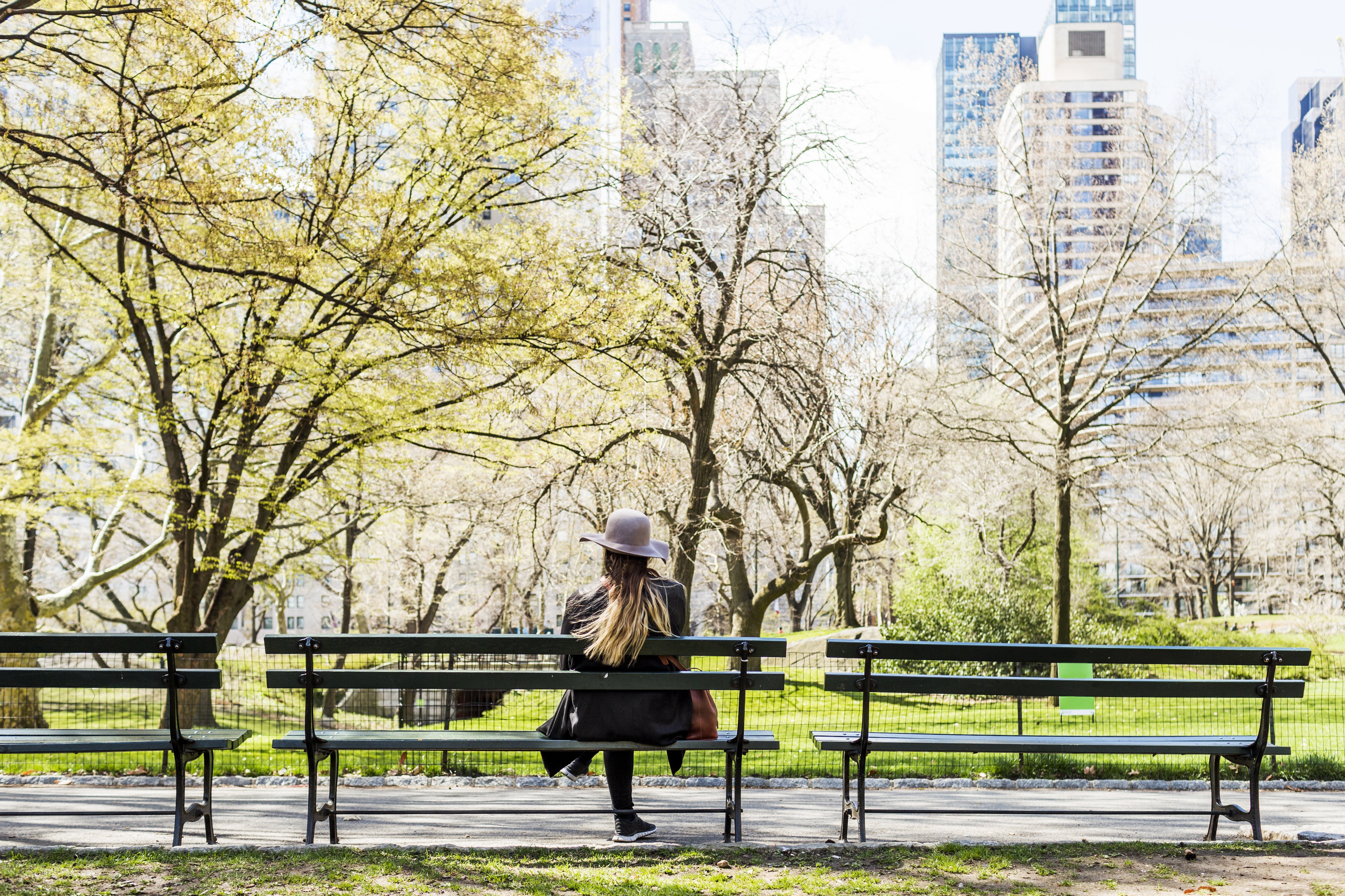 Person in hat sits on a park bench with a city skyline in the background, surrounded by springtime trees
