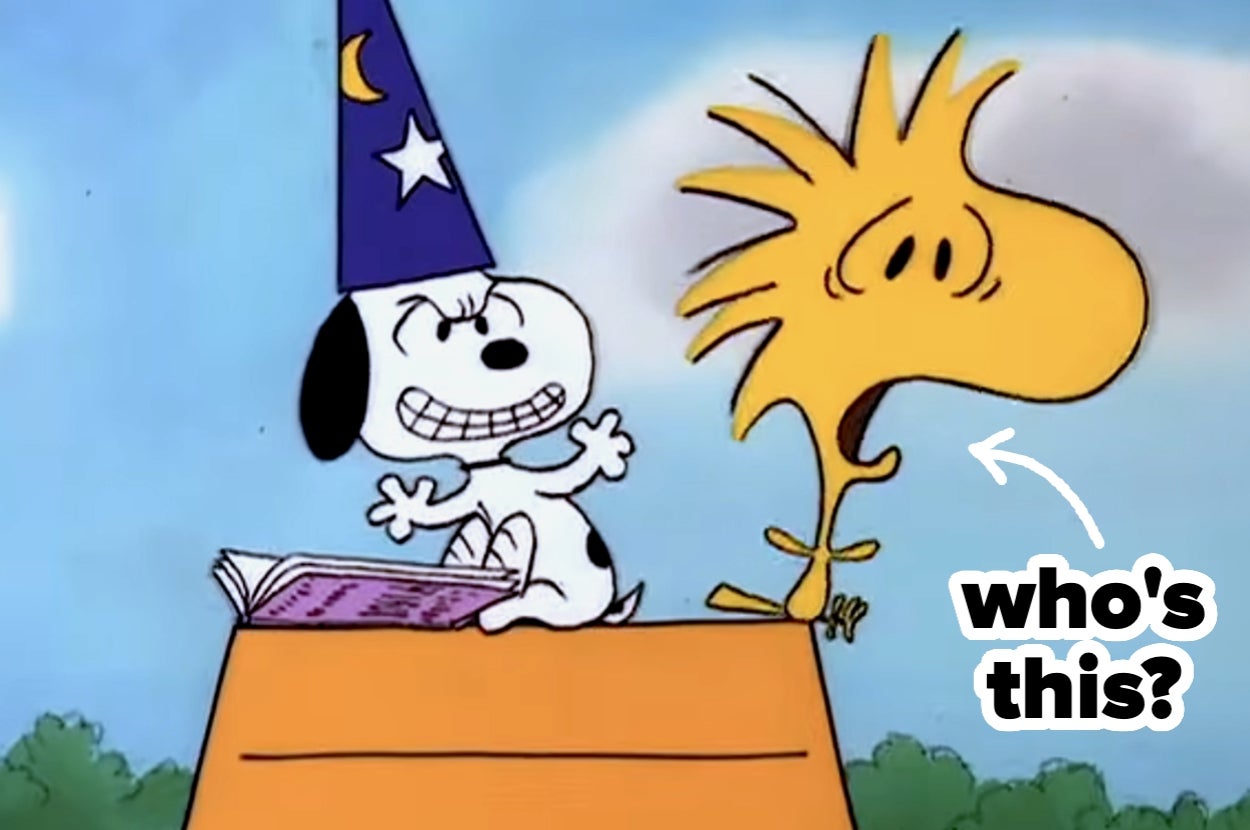 If You Can't Name 4/11 "Peanuts" Characters, You're Uncultured