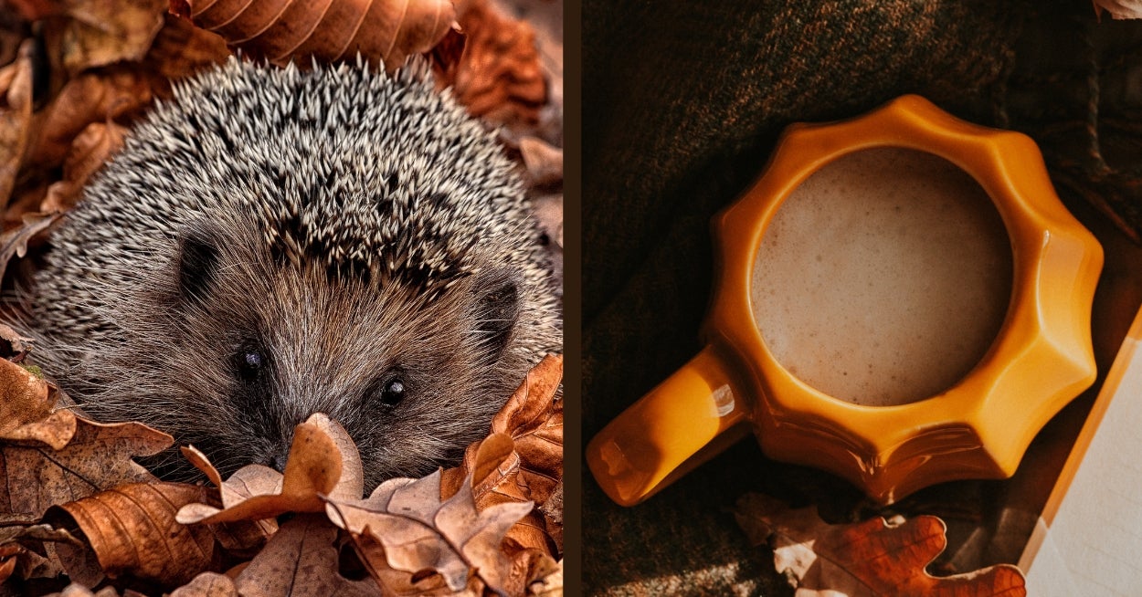 Which Fall Hot Beverage Are You?