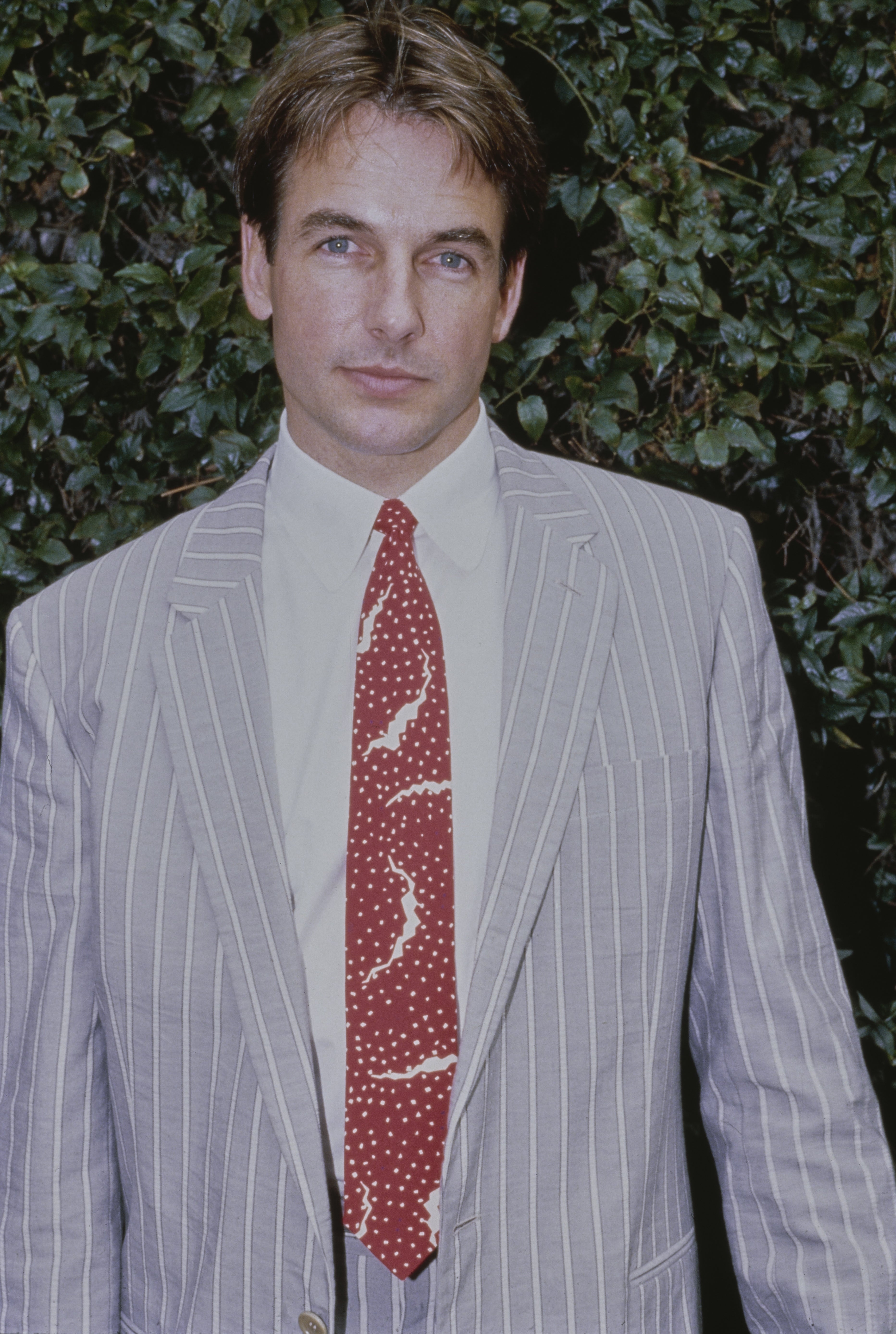 Person in a pinstripe suit with a patterned tie, standing in front of greenery