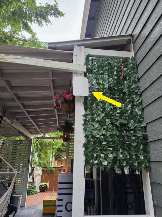 Outdoor patio with a leaf-patterned privateness screen. Covered platform features decorative hanging flowers and a hammock
