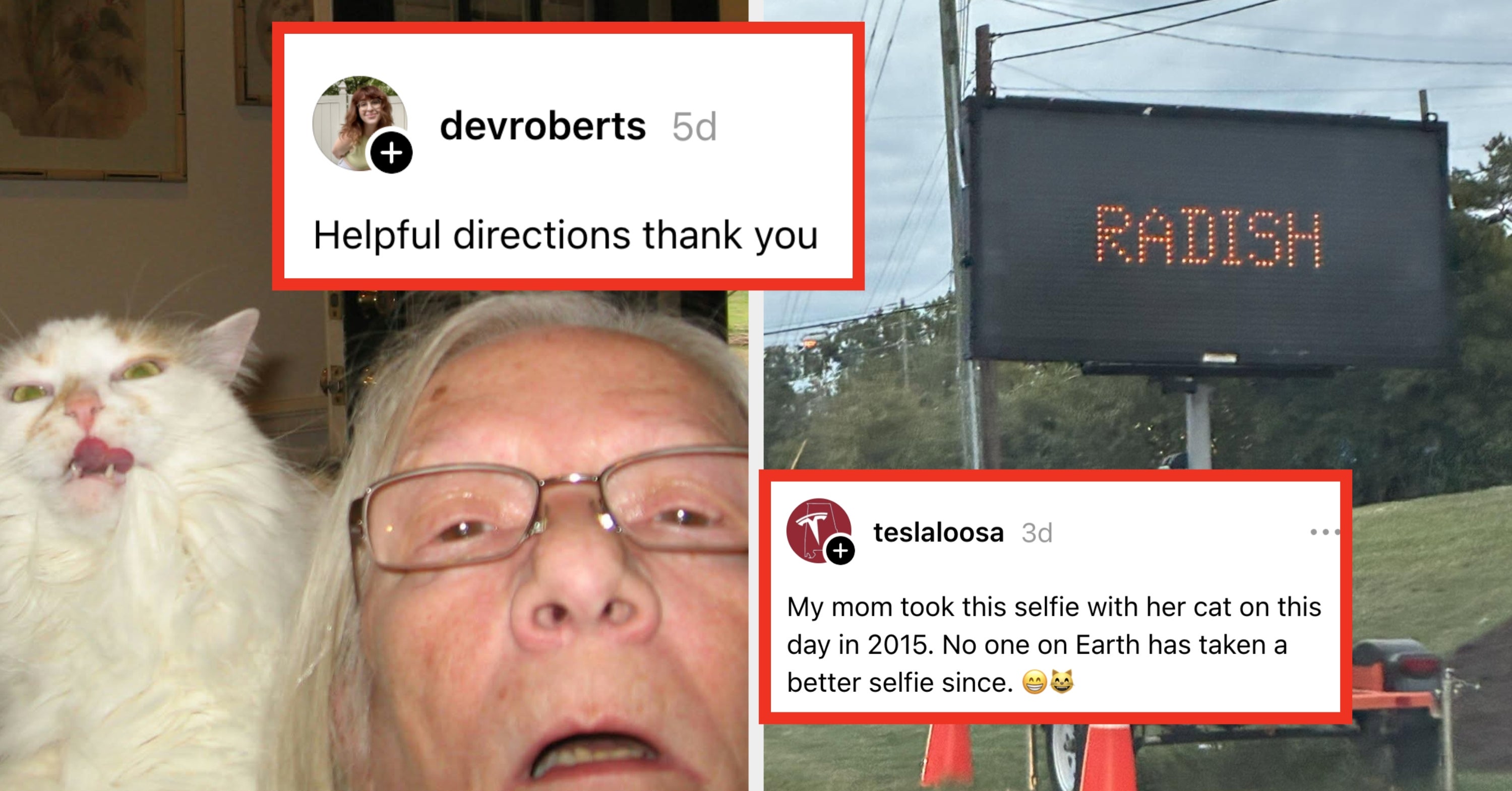 53 Posts From This Week That Are So Stupidly Funny I Honestly Don’t Know What To Tell You