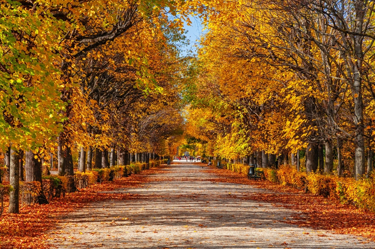 Plan A Perfect Fall Weekend And Get A Fall Trip To Take