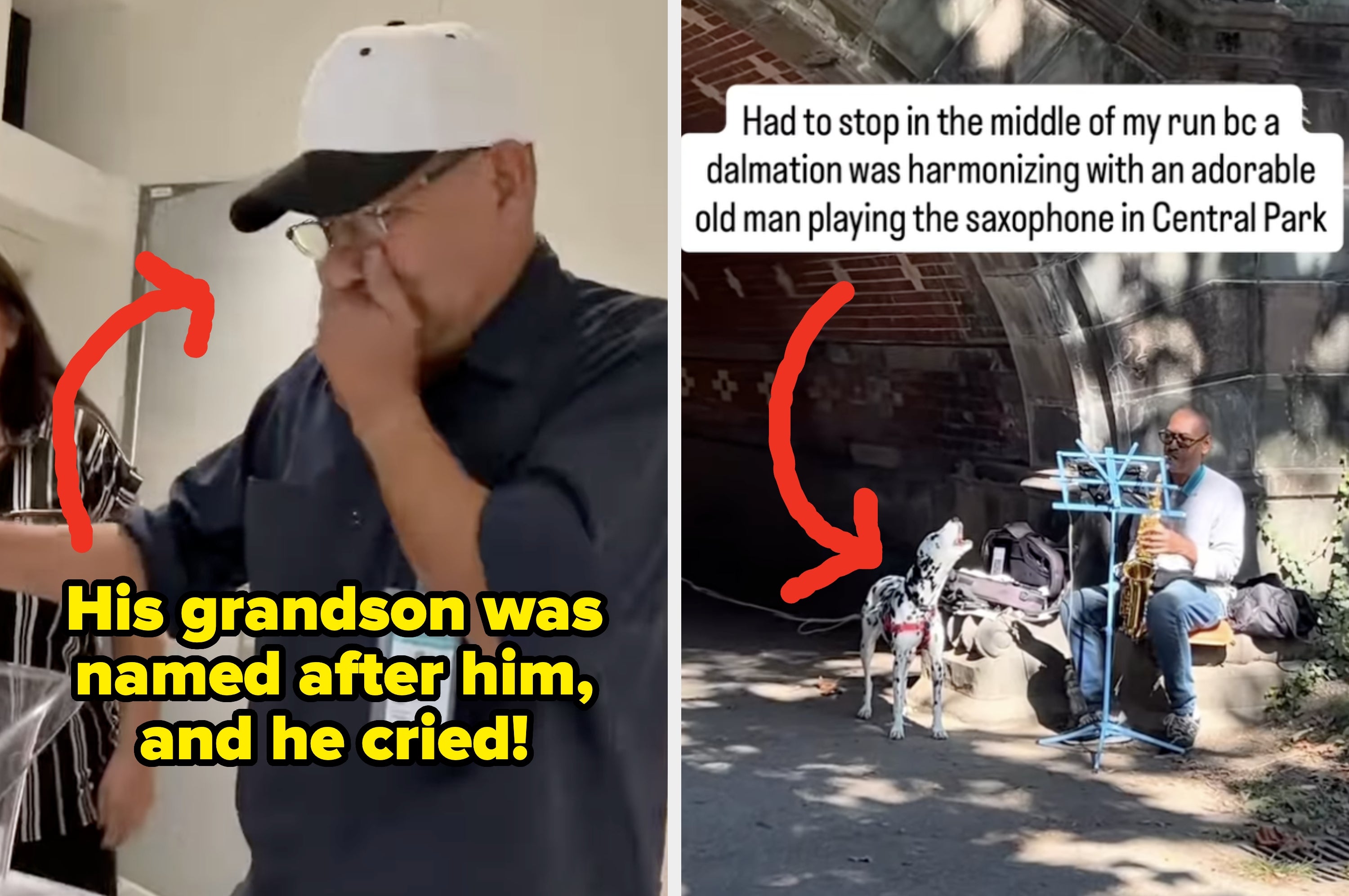 Man moved to tears after learning his grandson was named after him; a Dalmatian listens to a man playing saxophone in Central Park
