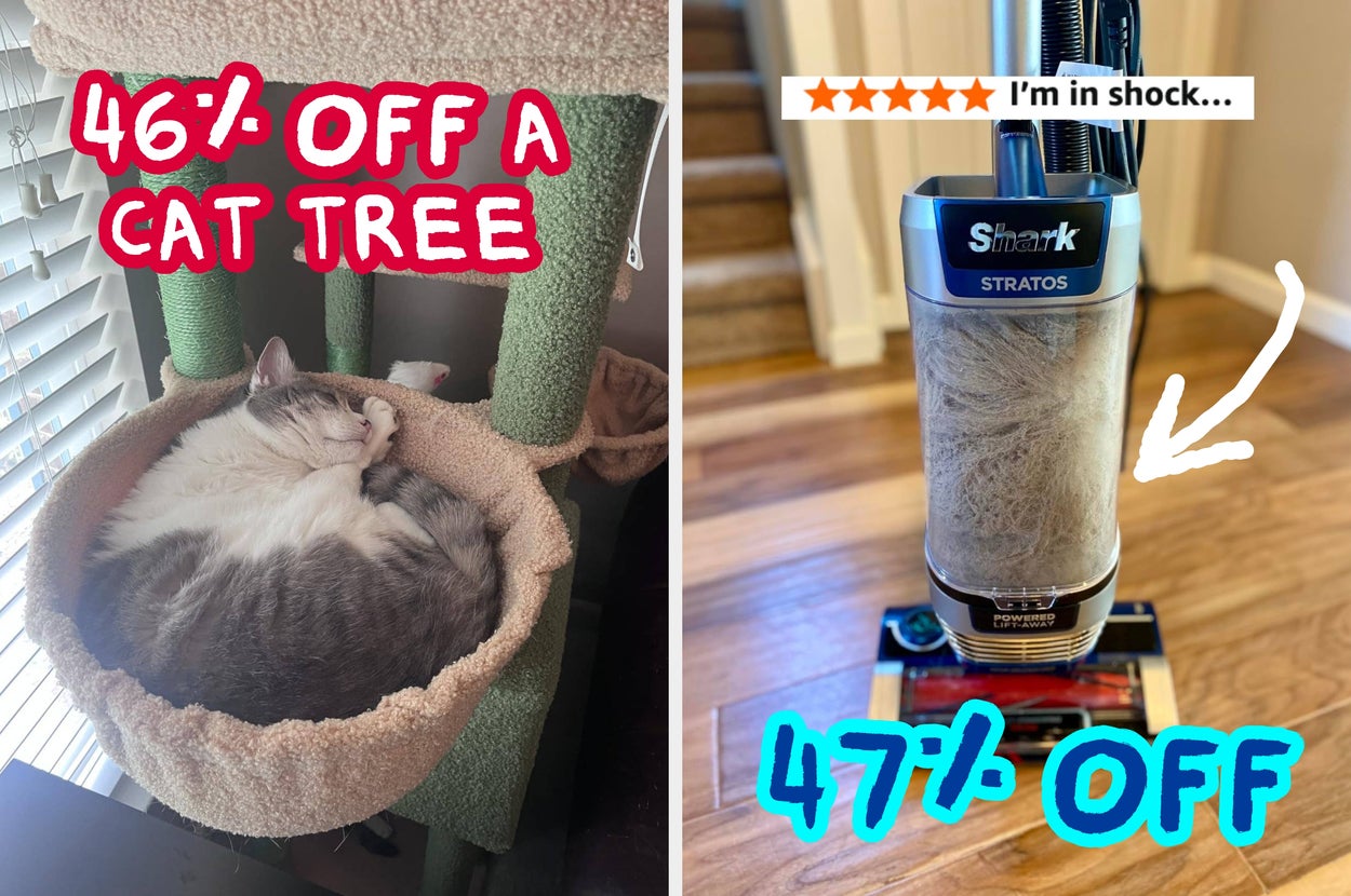 Here's What Pet Owners Should Actually Buy From Amazon's Early Fall Prime Day Deals
