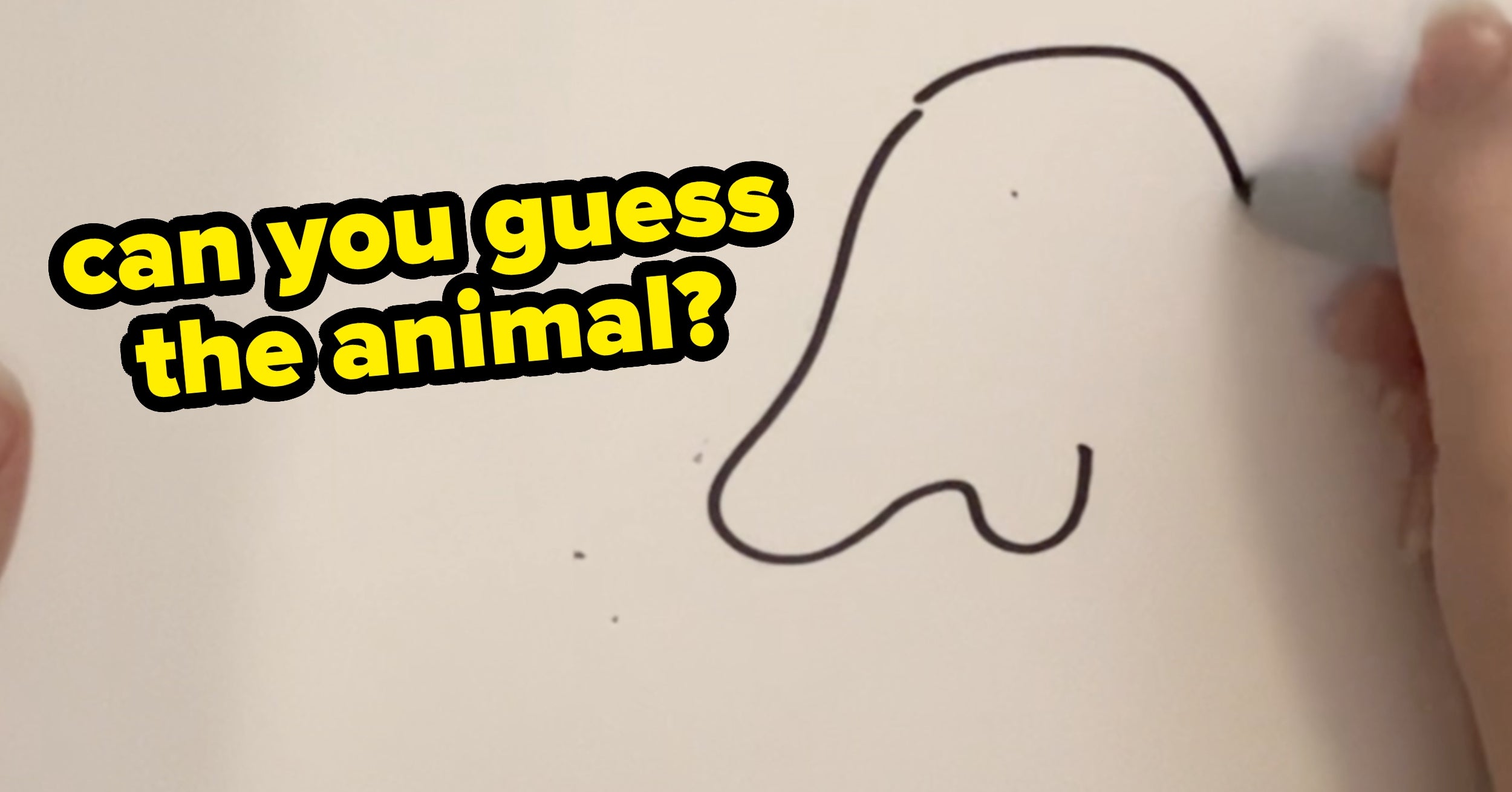 If You Can Guess These 15 Animals From A Simple Doodle, Your Visual Cognition Skills Are Sharp
