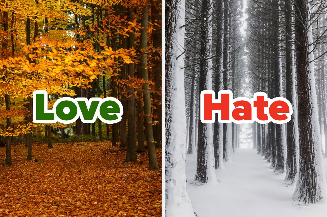 We Can Guess Your Favorite And Least Favorite Season