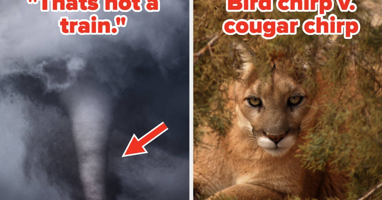 These 24 Sounds Can Be Warning Signs Of Serious Danger, And Most People Probably Couldn’t Identify Them