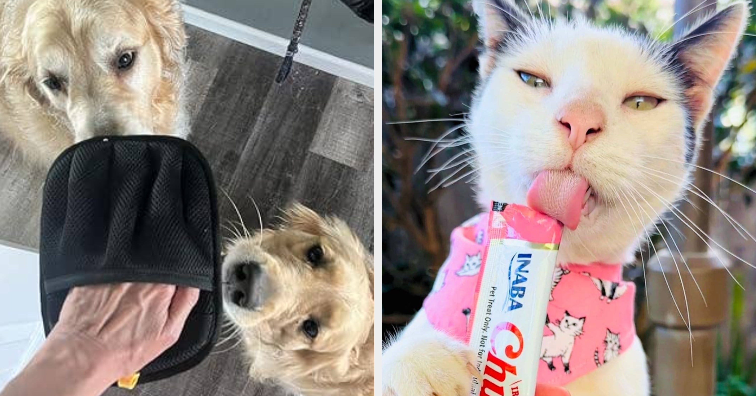 32 Pet Products Reviewers Won’t Stop Raving About