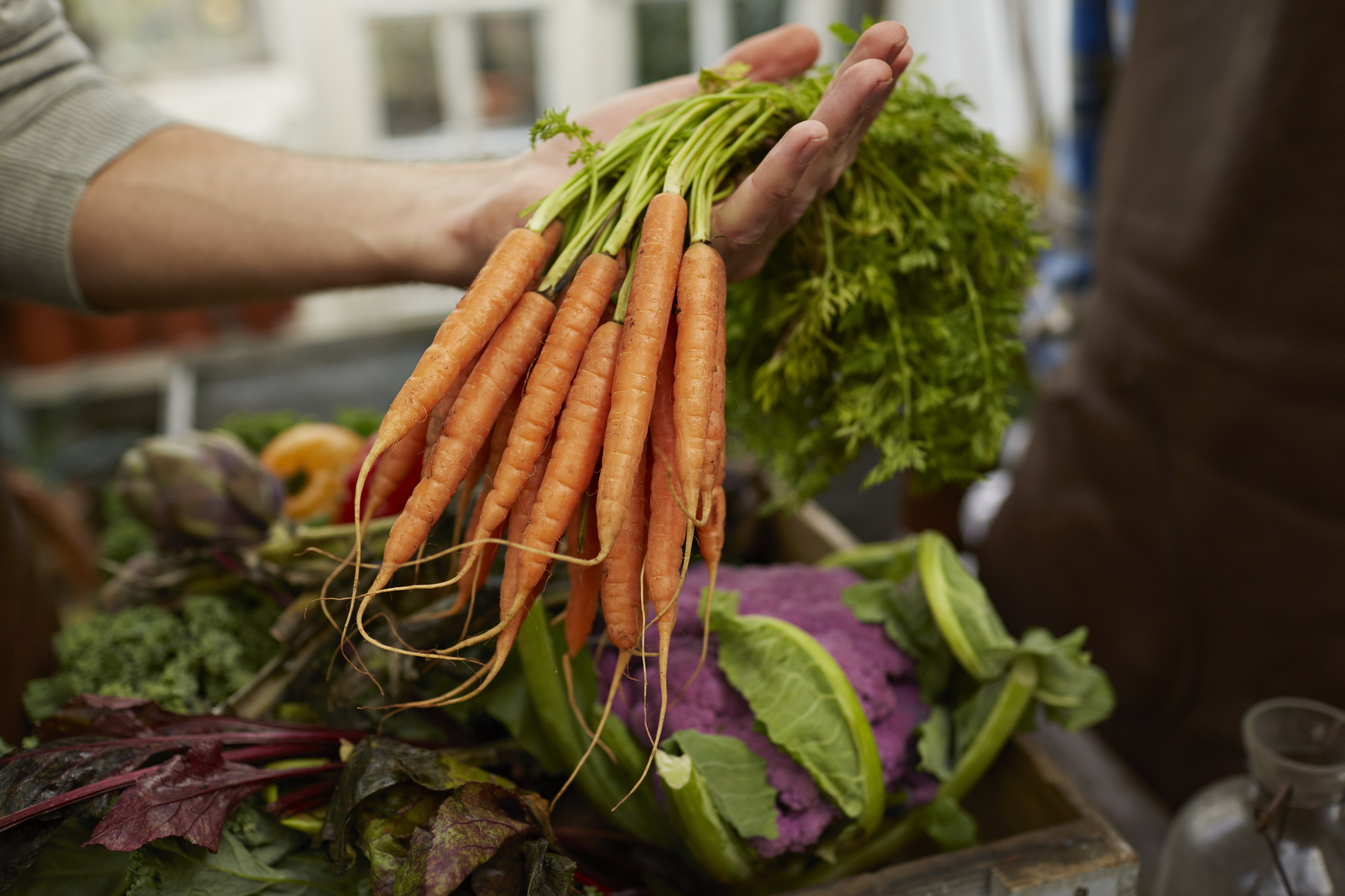 A hand holding a bunch of fresh carrots over a display of assorted vegetables at a market
