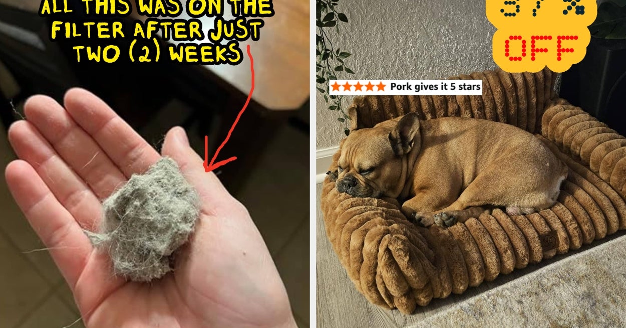 All The Best Fall Prime Day Deals For Dog Owners