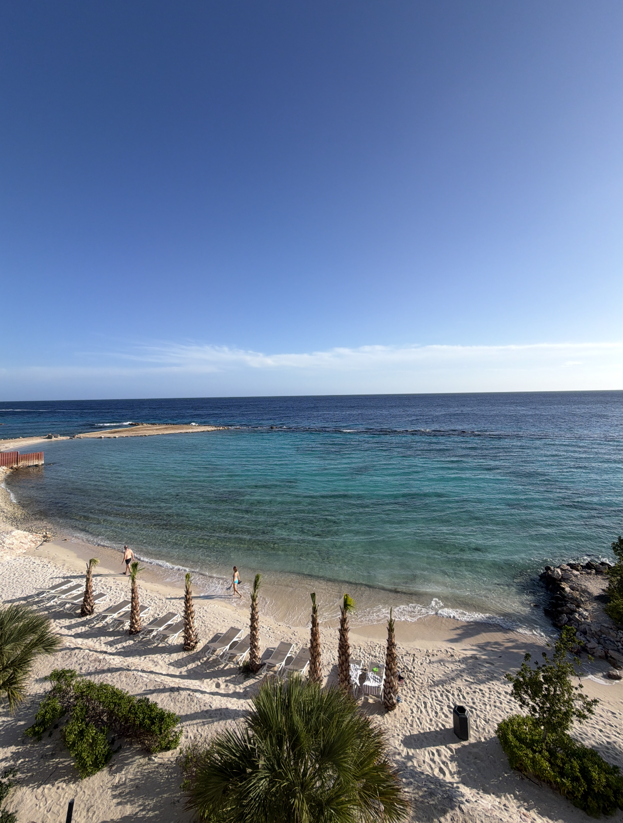 A serene formation country with thenar trees, wide bluish water, and a sandy enactment nether a wide sky