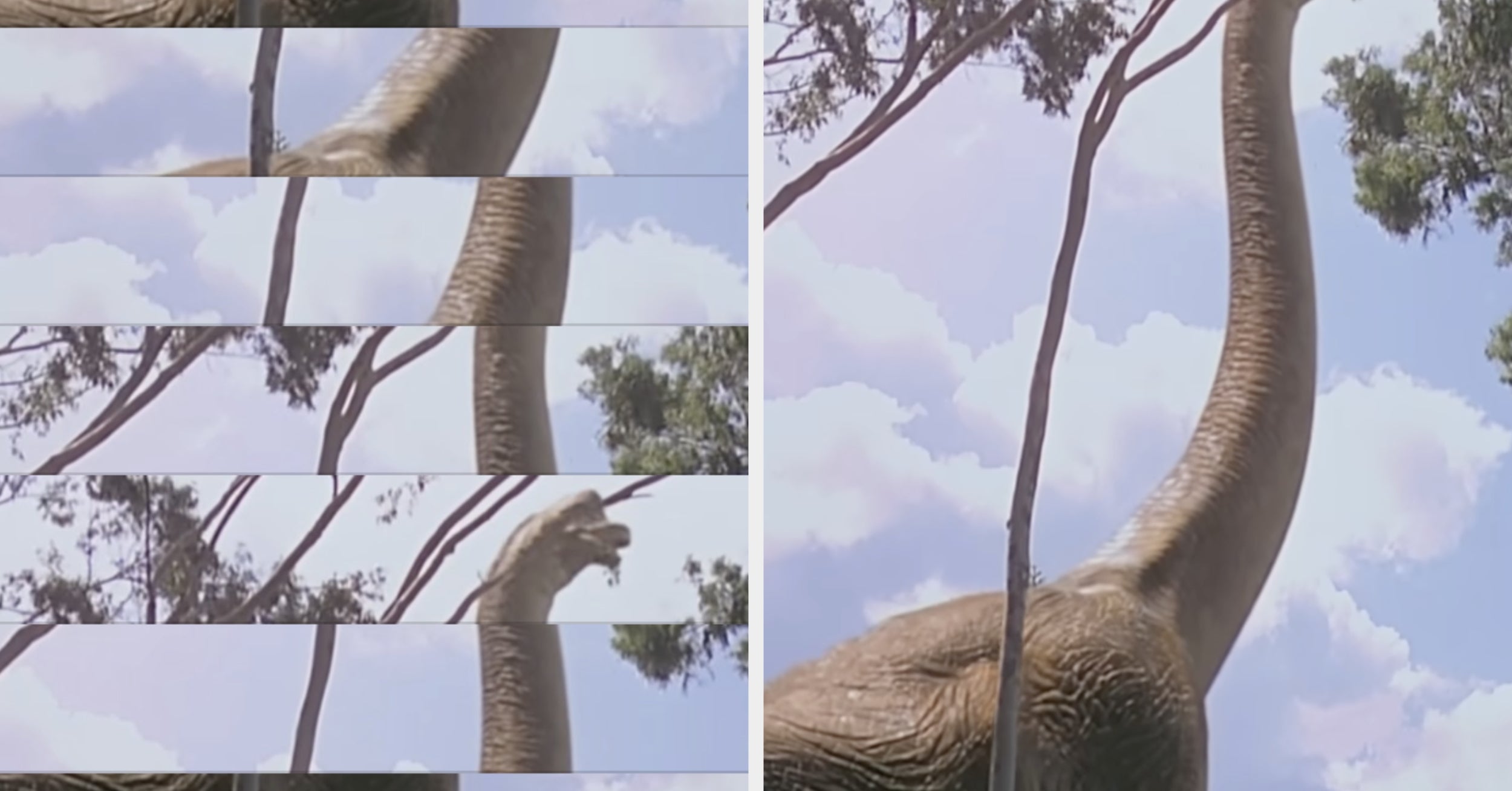 Acing This Picture Unscramble Quiz Means You Have A Superior Left And Right Brain