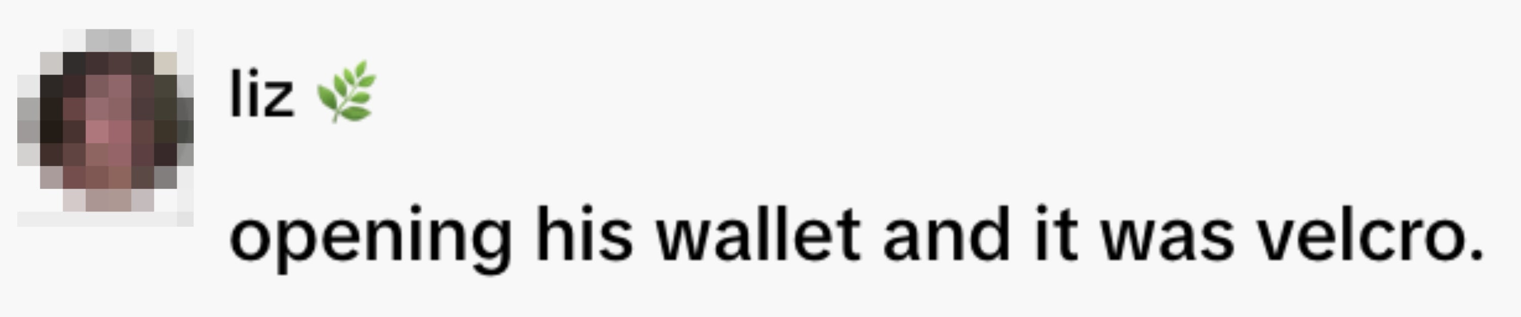 Profile representation   of a idiosyncratic   named Liz with a leafage  emoji, and substance   saying, "opening his wallet and it was velcro."
