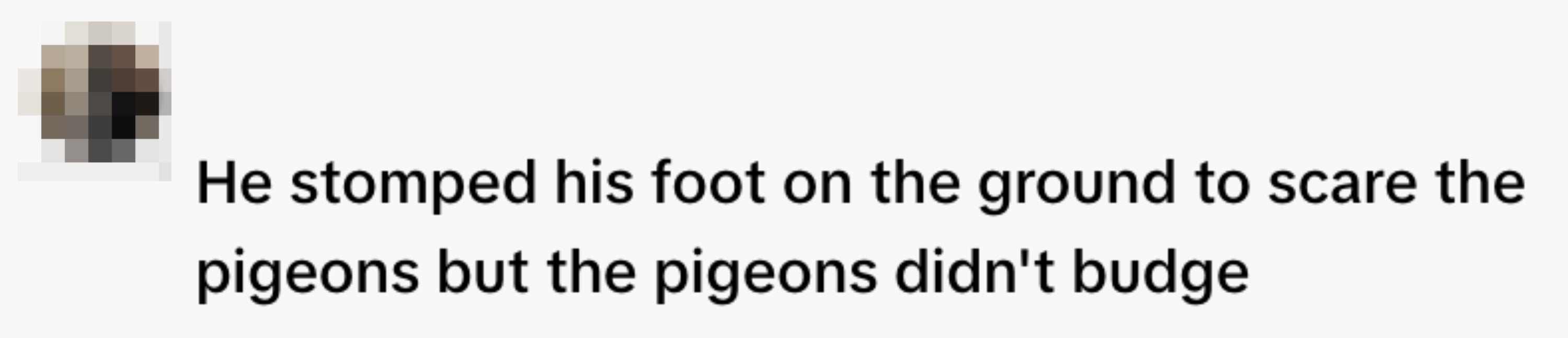  "He stomped his ft  connected  the crushed  to scare the pigeons but the pigeons didn't budge."