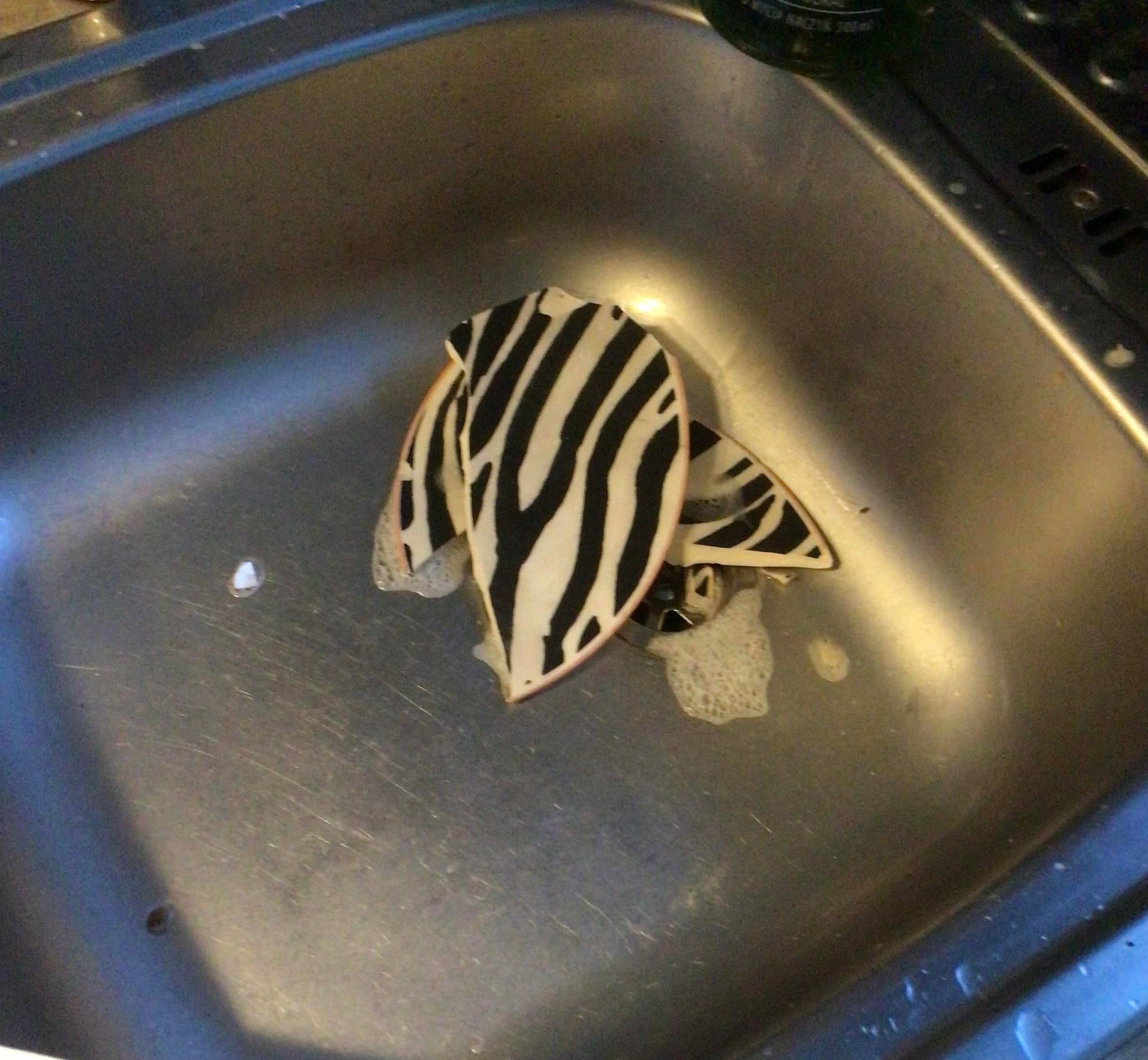 Broken zebra-patterned plate in a sink with soap suds