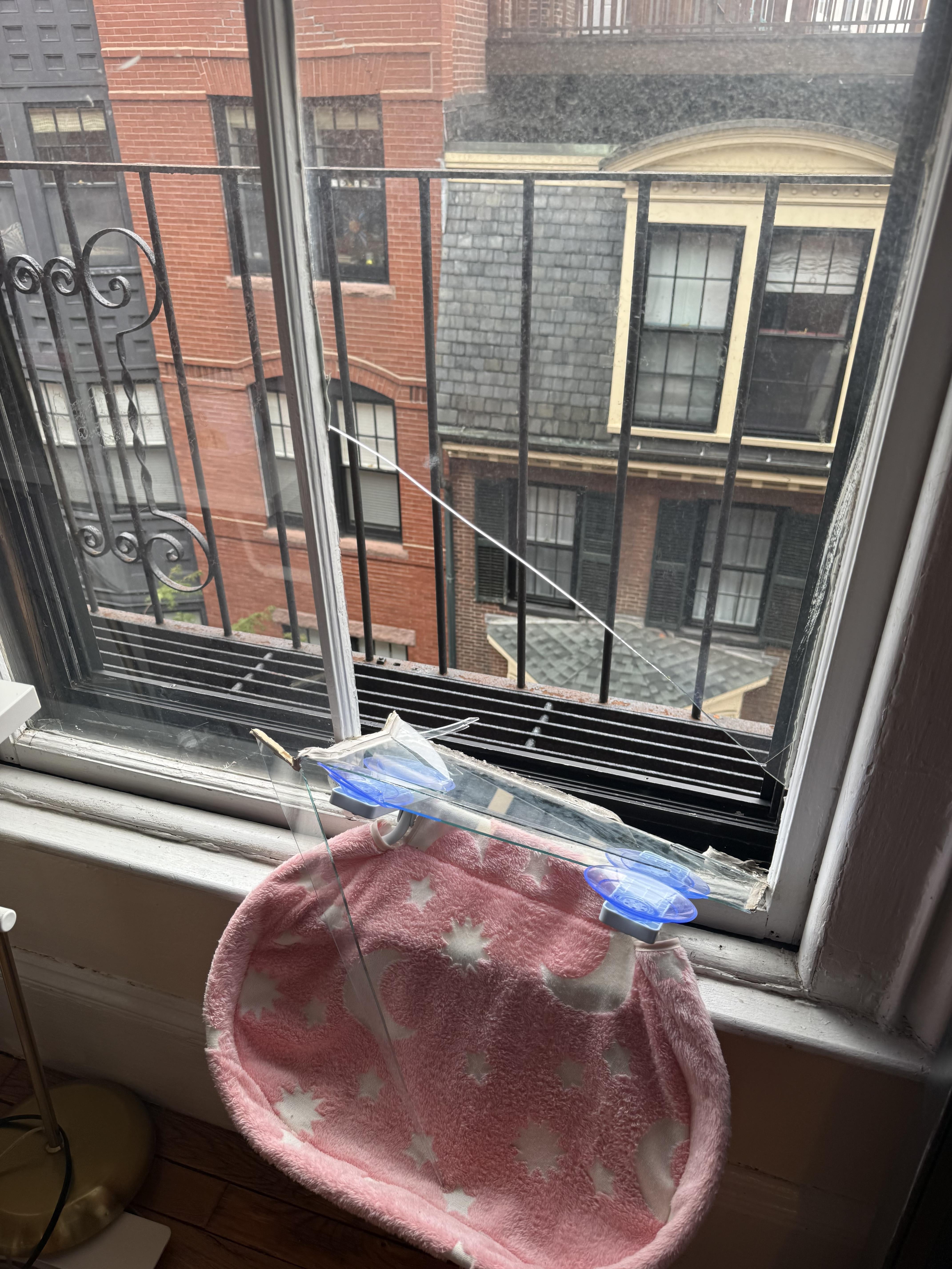 Window view with brick buildings outside. Inside, a pink pet bed with moon and star patterns is next to the window