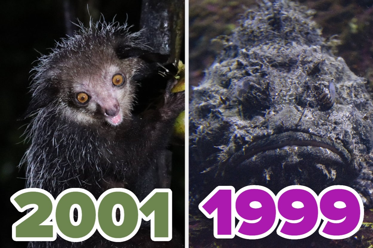 Tell Us Your Birth Year To Find Out Which Hideous Animal You Are!