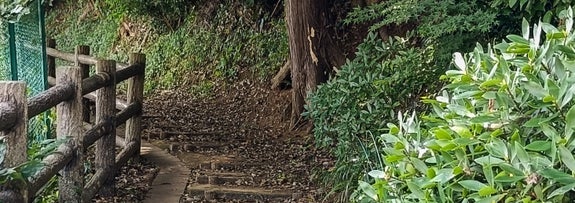 森林公園の小道のイメージ写真（写真AC）