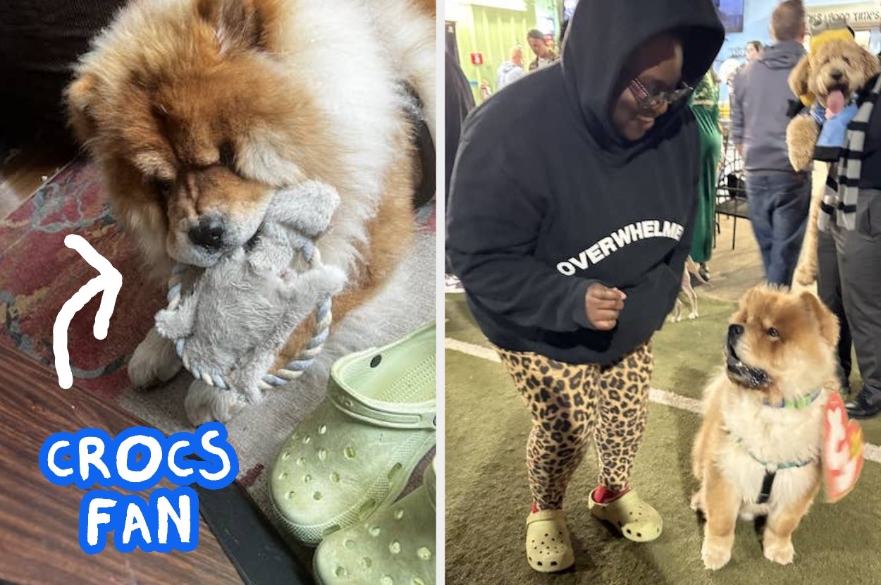 Chow Chow dog with a stuffed toy and green Crocs. Person next to dog in animal print leggings, black hoodie, wearing matching Crocs. Text: "Crocs Fan"