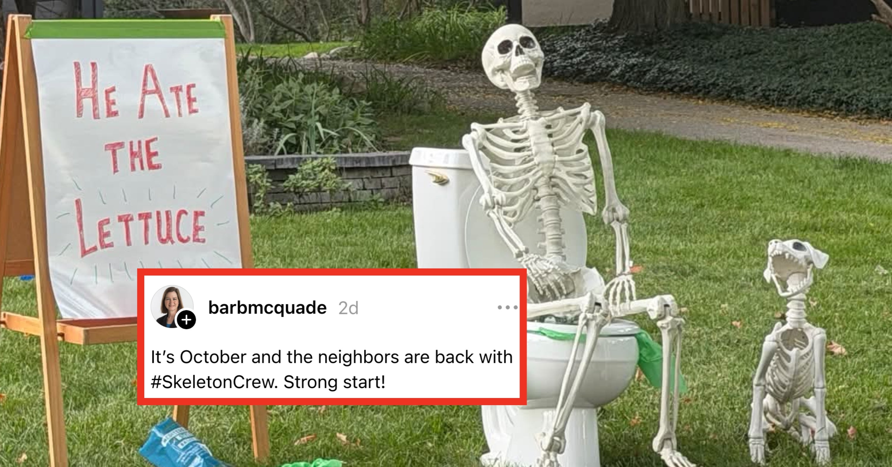 Literally Just 45 Posts From This Week That Are So Dumb And So, So Funny
