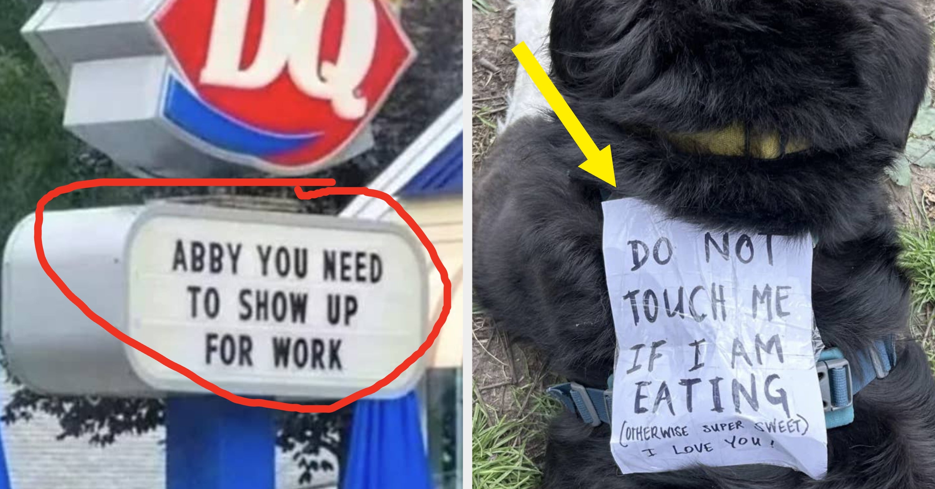 "Show Me Your Kitties": Life Is A Mess Right Now, But These 16 Funny Signs We Found This Week Capture It So Perfectly It Hurts