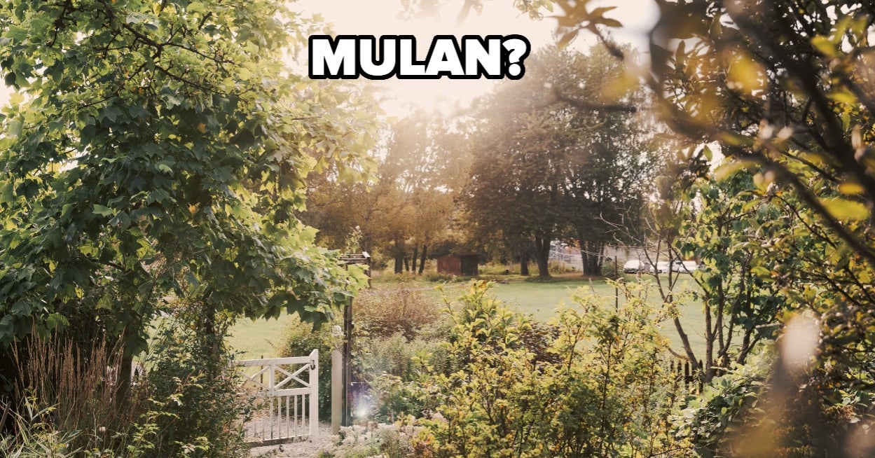 I Can Guess Your Favorite Disney Princess Based On The Garden You Build