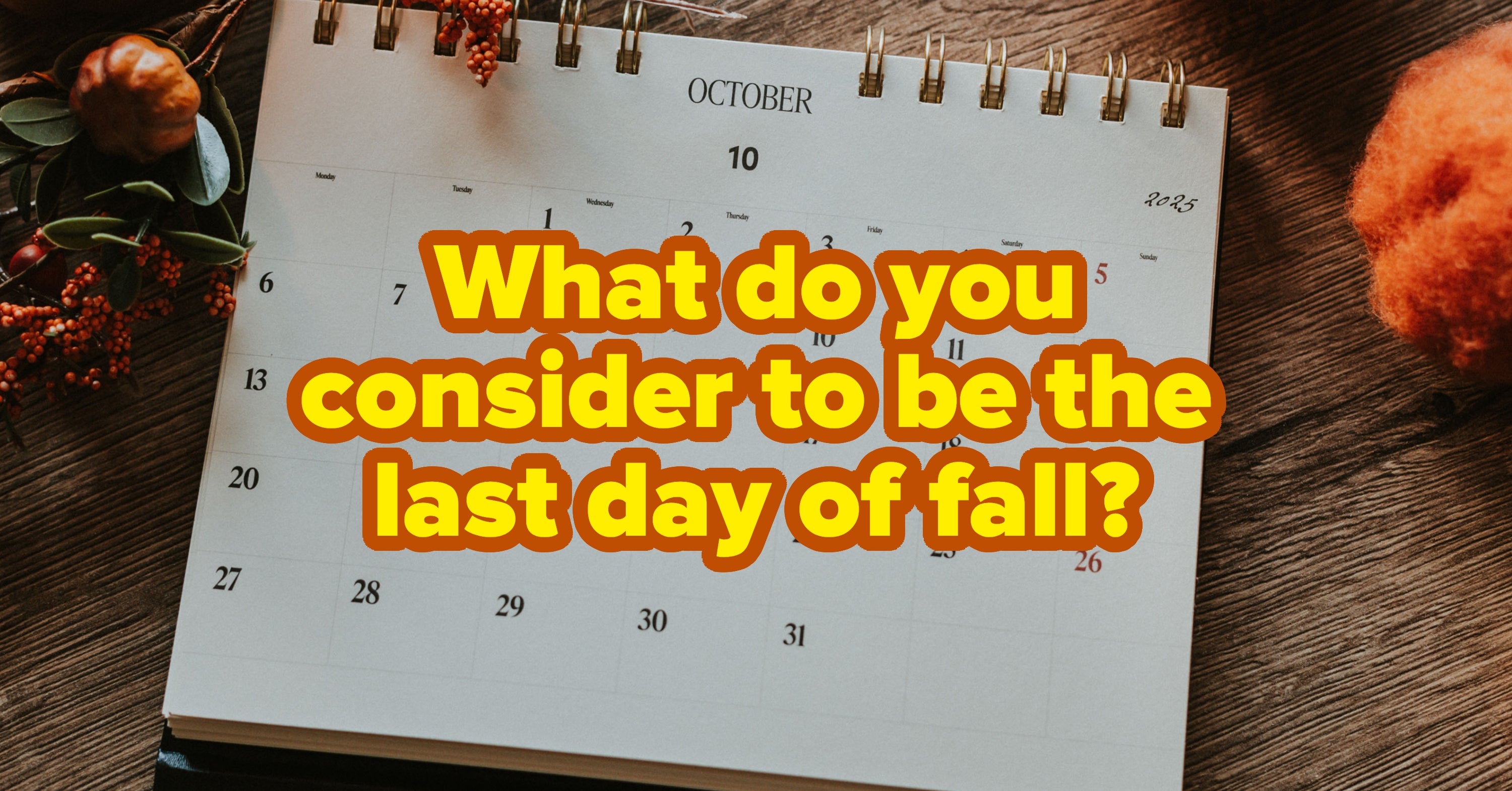 Apparently These Autumn Debates Are VERYYYYYYYYYYYYYYY Divisive — Let's See Where You Stand