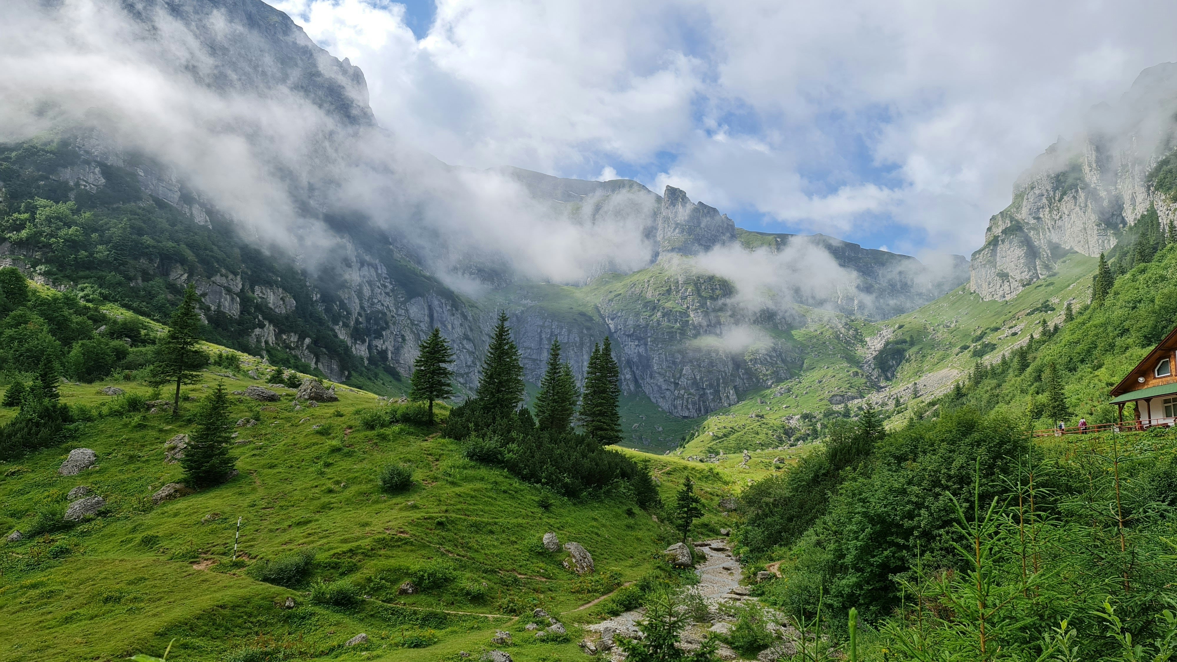 Lush green valley with scattered trees and a wooden cabin, surrounded by misty mountain peaks under a partly cloudy sky