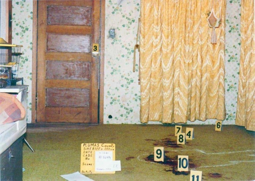 Sheriff's evidence markers show a crime scene in a room with floral walls and curtains. A sign indicates Plumas County Sheriff's Office