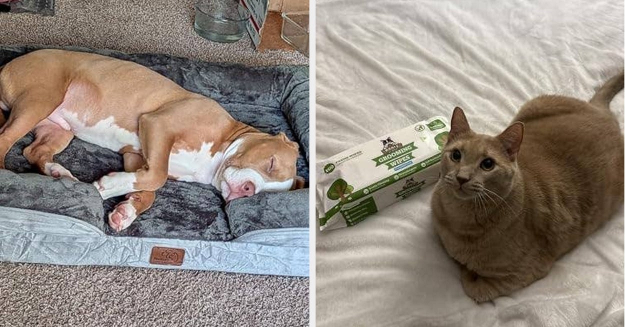 35 Pet Products With Thousands (Upon Thousands) Of Glowing Reviews