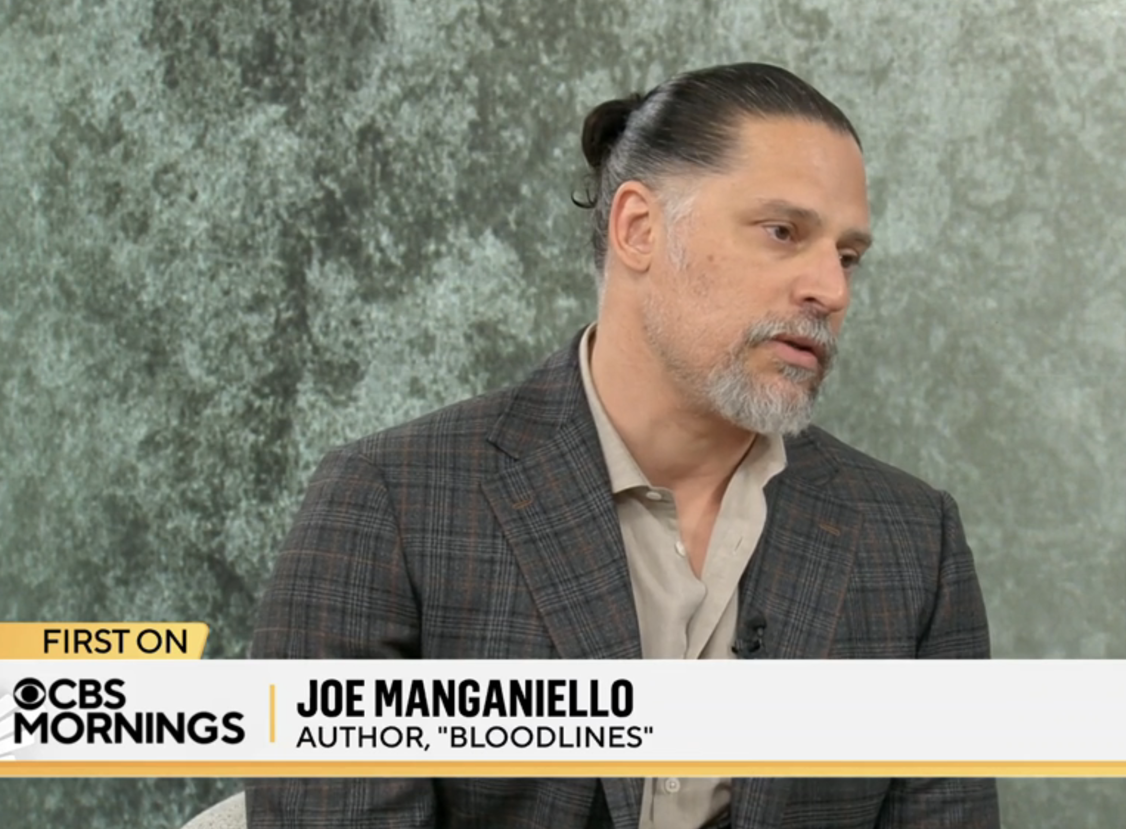 Joe speaking in a TV interview