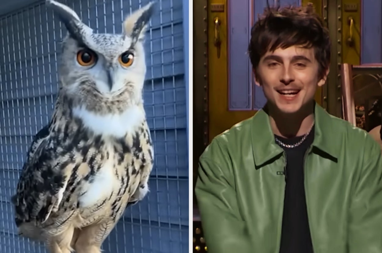 If You Can Do Better Than 31/35 On This General Knowledge Quiz, Your Brain Is Truly Special