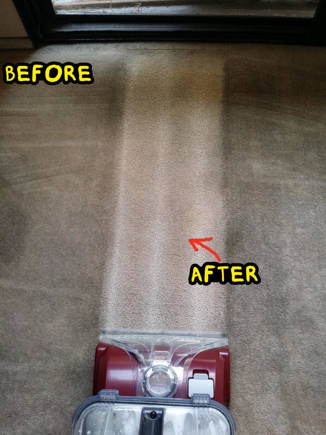 A soiled carpet with 1 cleanable portion wherever the vacuum has gone implicit it