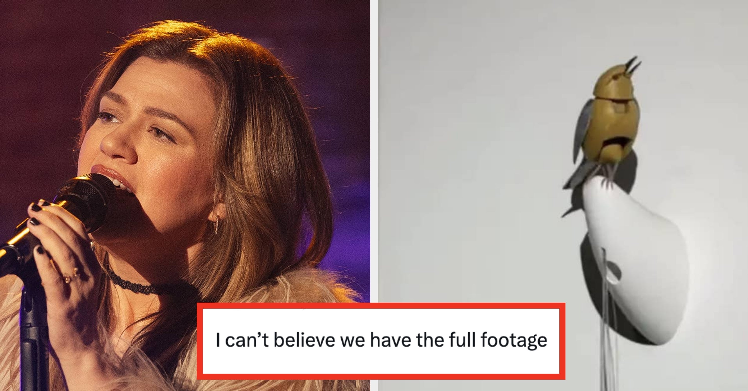 We Have New Security Camera Footage Of Kelly Clarkson’s Infamous Visit To That Brooklyn Store, And People Are Very Divided
