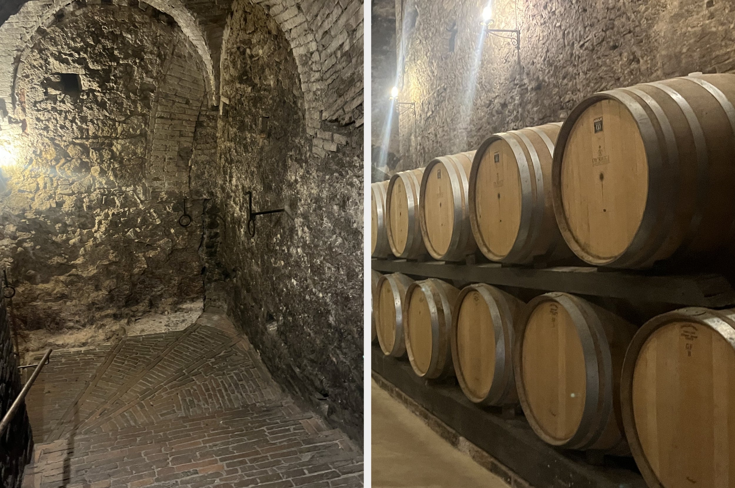 Stone-walled wine cellar with rows of wooden barrels lining the space. Dim lighting highlights the rustic atmosphere