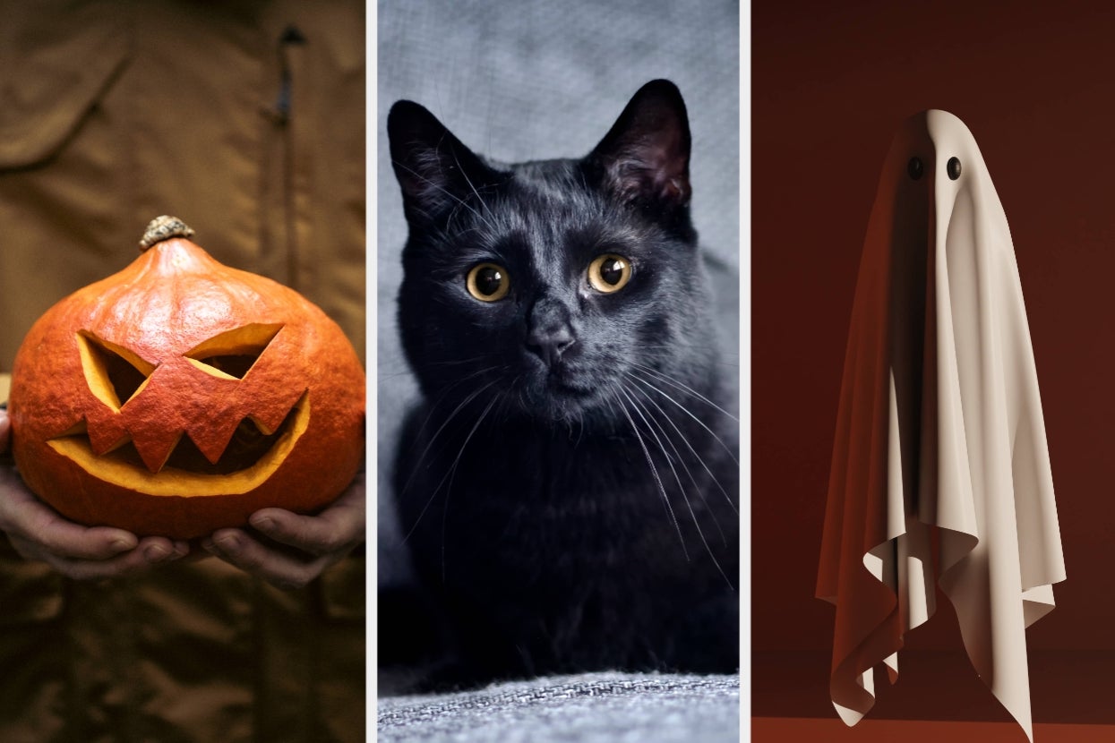 Carved pumpkin, black cat looking forward, and a person dressed as a ghost with a sheet over them. Halloween theme