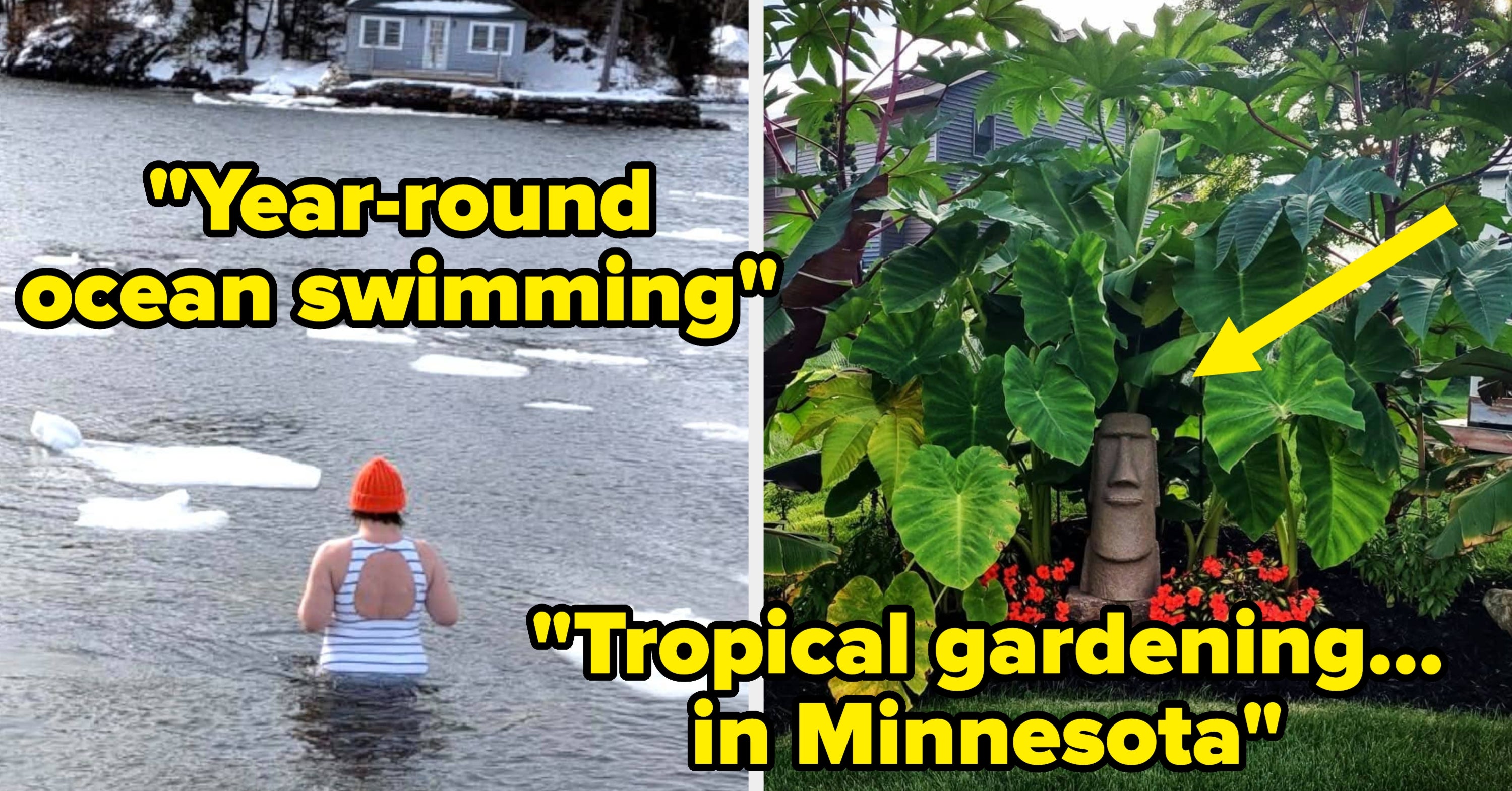 People Over 30 Are Sharing The Hobbies They Never, Ever Expected To Become Obsessed With