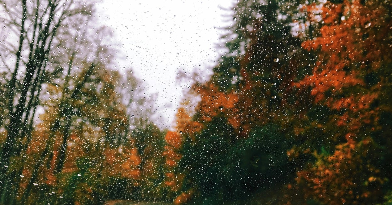 How Much "Rainy Autumn Day" Is In Your DNA?