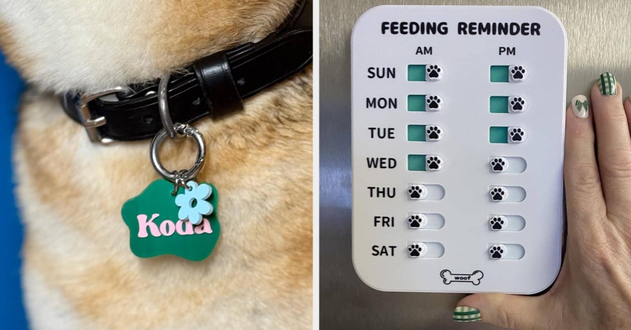 Cover art for First-Time Pet Owners Need These 30 Products
