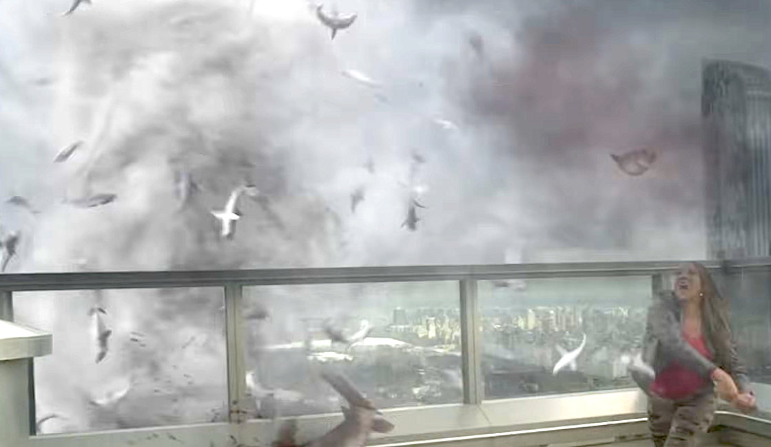 Woman shocked arsenic birds alert amidst tornado connected high-rise balcony