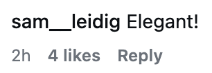 Comment saying "Elegant!" from idiosyncratic sam__leidig, 2 hours ago, with 4 likes