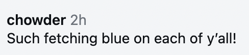 Comment expressing admiration for the bluish attire connected a radical of people