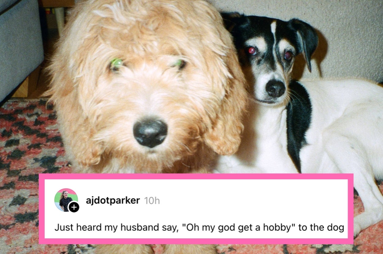 Two dogs on a carpet with a tweet saying, "Just heard my husband say, 'Oh my god get a hobby' to the dog."
