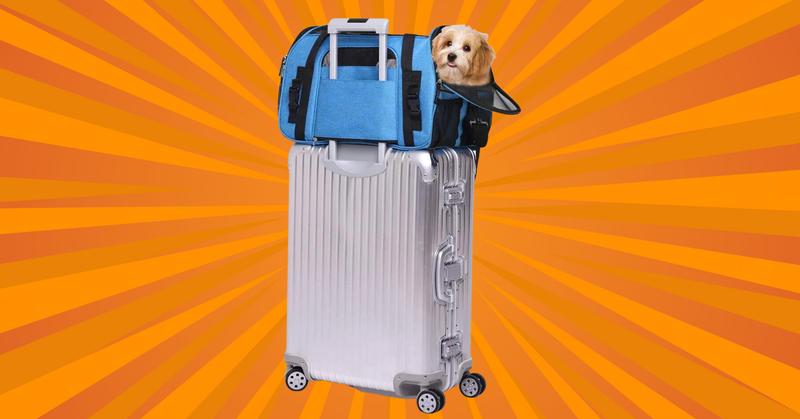 I Don't Travel Without My Rescue Pup, So I Combed The Internet For These 9 Airline-Friendly Carriers