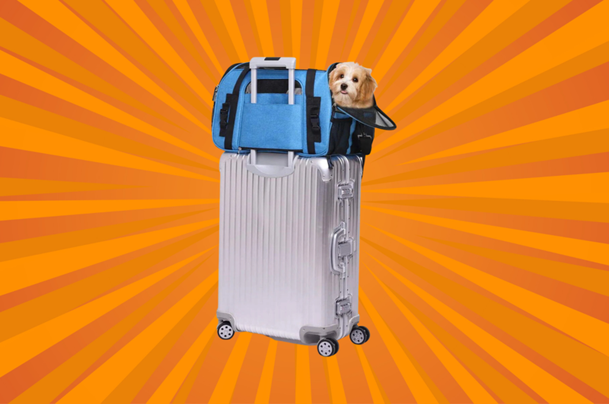 I Don't Travel Without My Rescue Pup, So I Combed The Internet For These 9 Airline-Friendly Carriers