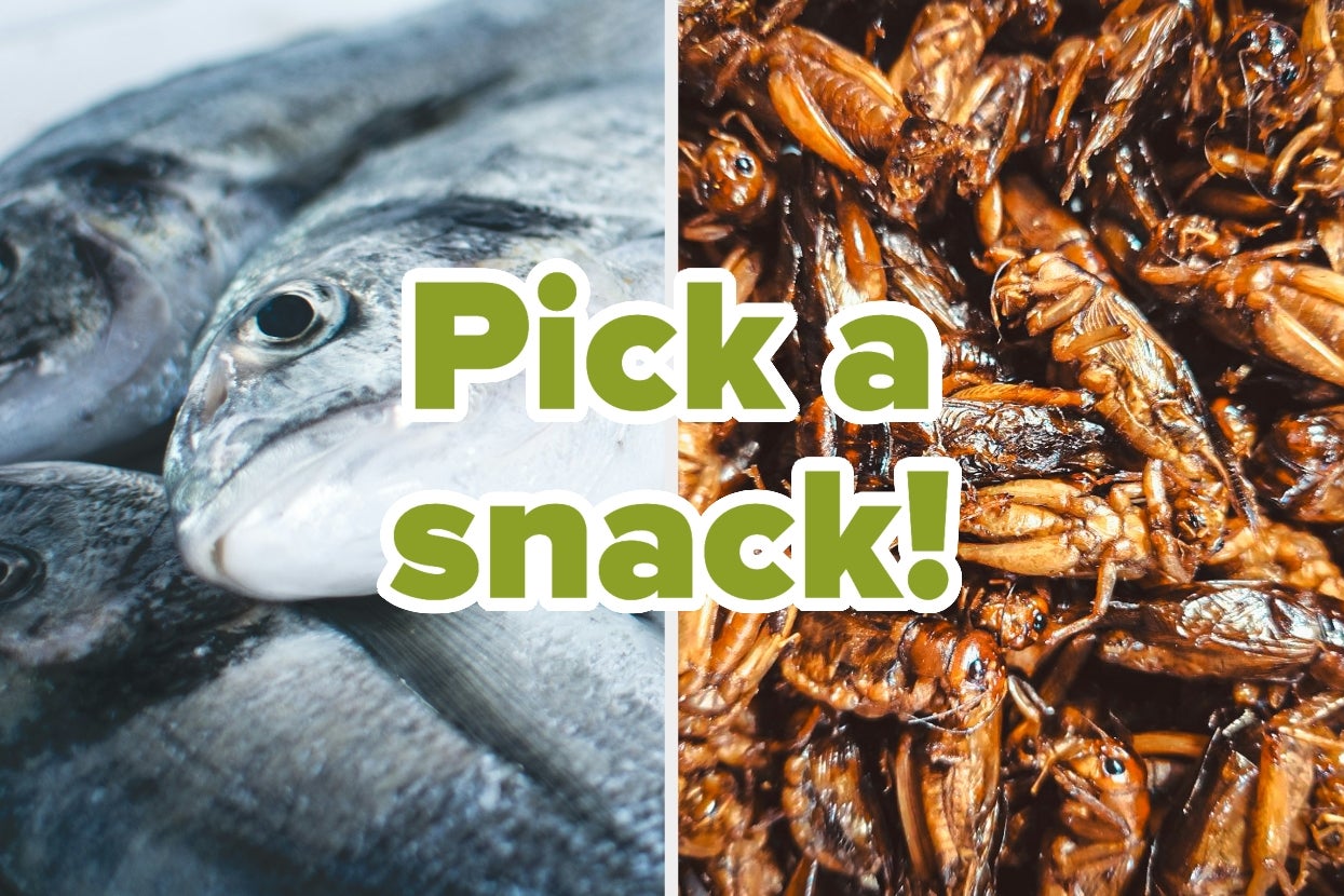 Fish on the left, cooked insects on the right, with "Pick a snack!" text in the center