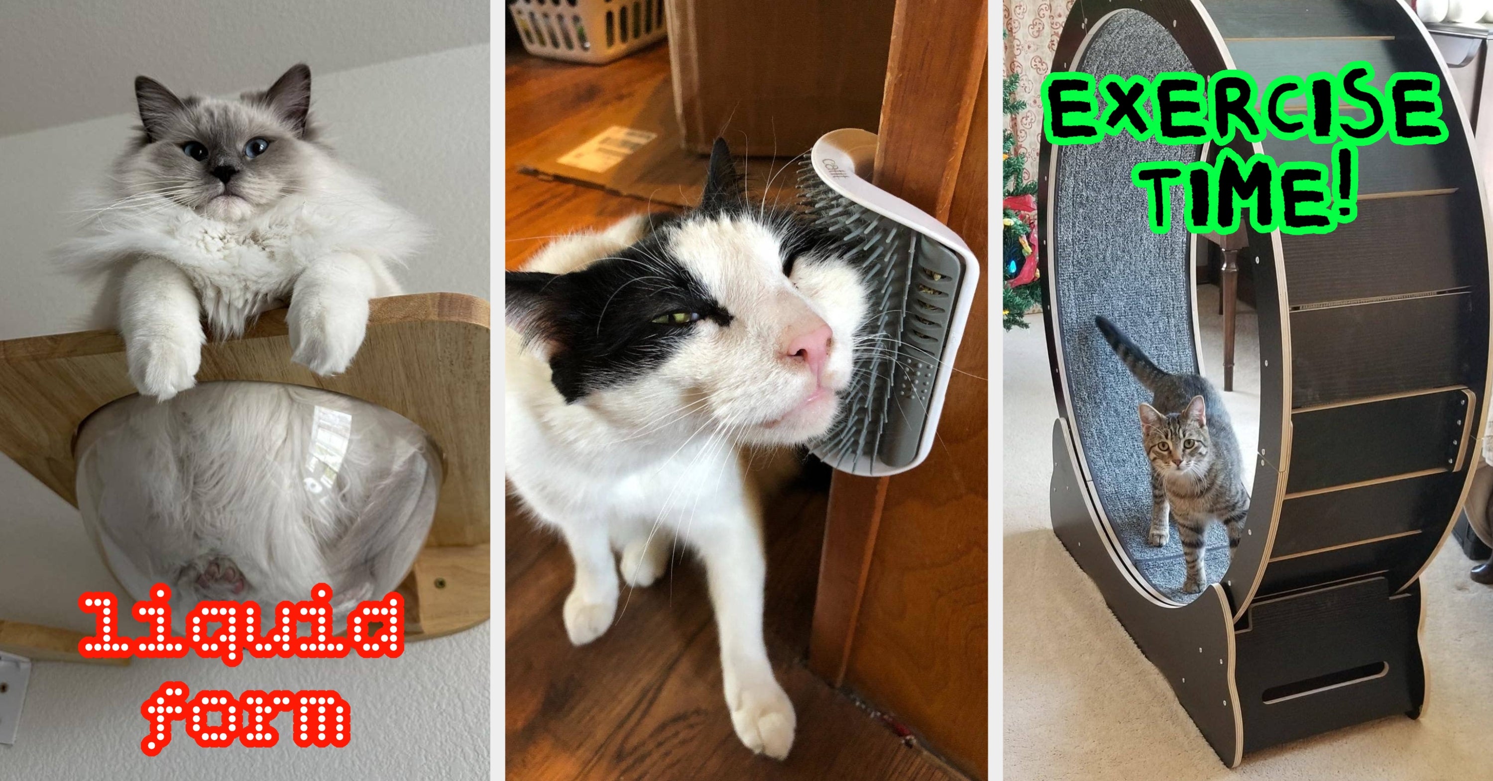 If Your Reason For Existing Is To Make Your Cat Happy, Here Are 47 Things To Buy